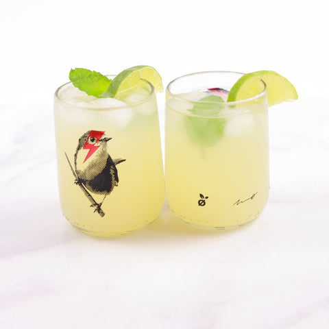 Set of 4 Upcycled Singing Bowie Bird Design Drinking Glasses 8oz  - Wholesale