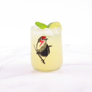 Set of 4 Upcycled Singing Bowie Bird Design Drinking Glasses 8oz  - Wholesale